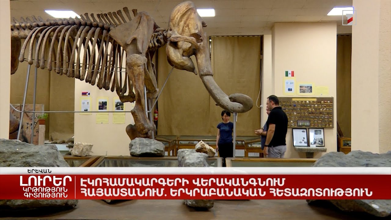 Երևանի ձնամաքրման աշխատանքների ընթացքը և առաջացած խնդիրները