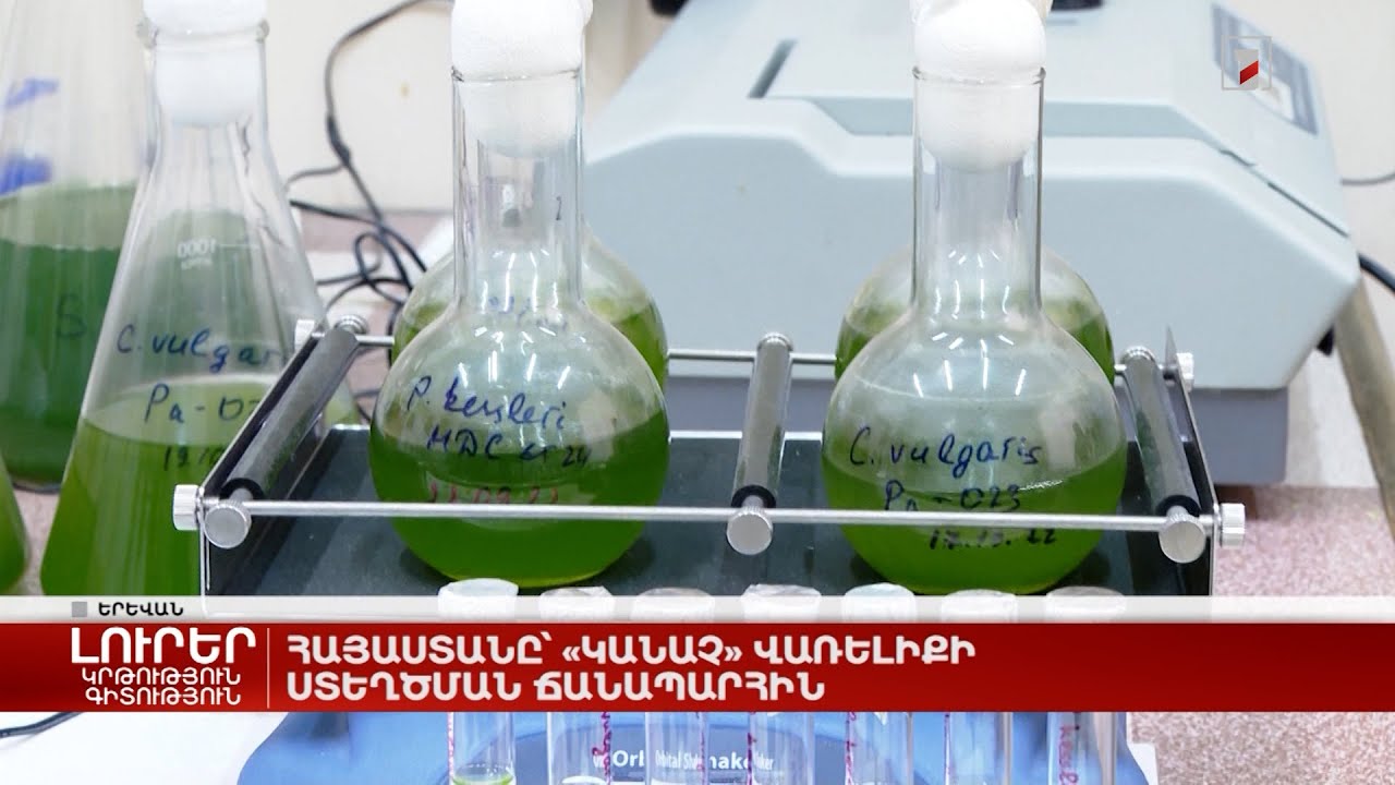 Սահմանազատման գործընթացը շարունակվում է, իսկ վառելիքի ներկրման հարցում կան առաջընթացներ