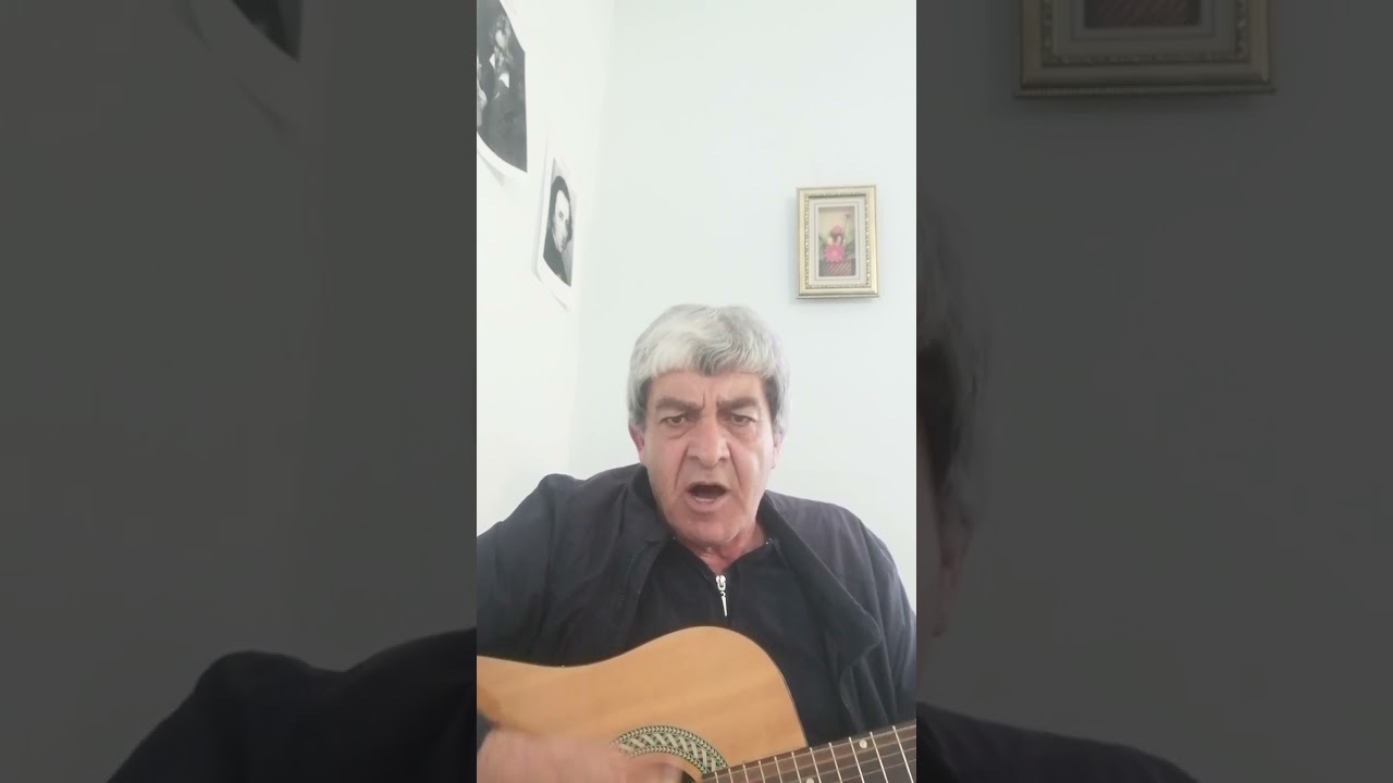 Ախուրյանում շների ստերջացման ծրագիրը՝ 2024թ-ին՝ 850 շուն, ոչ թե 350-ը, ինչպես նախկինում հայտարարվել էր