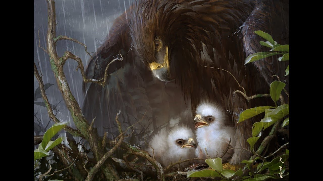 Իշխանության խուճապը՝ ծիծաղի և անհոգության շերտի տակ