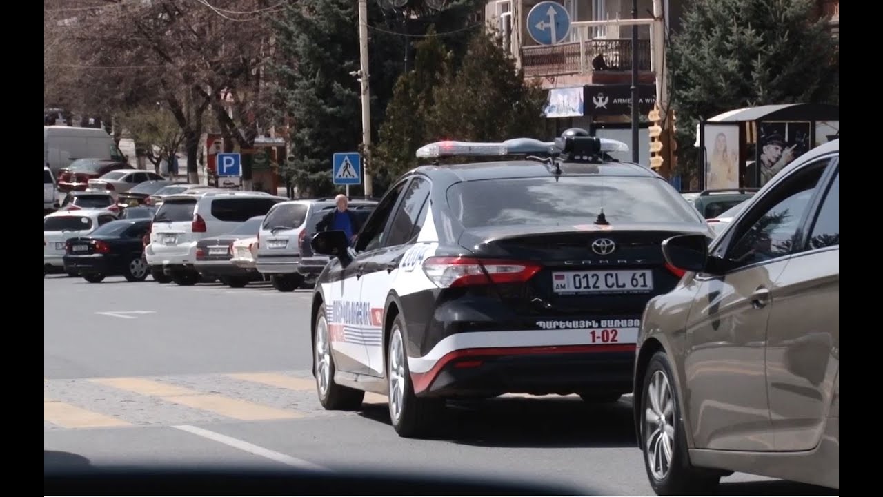 Բանդերլոգների աշխարհում դհոլների դեմ պայքարը