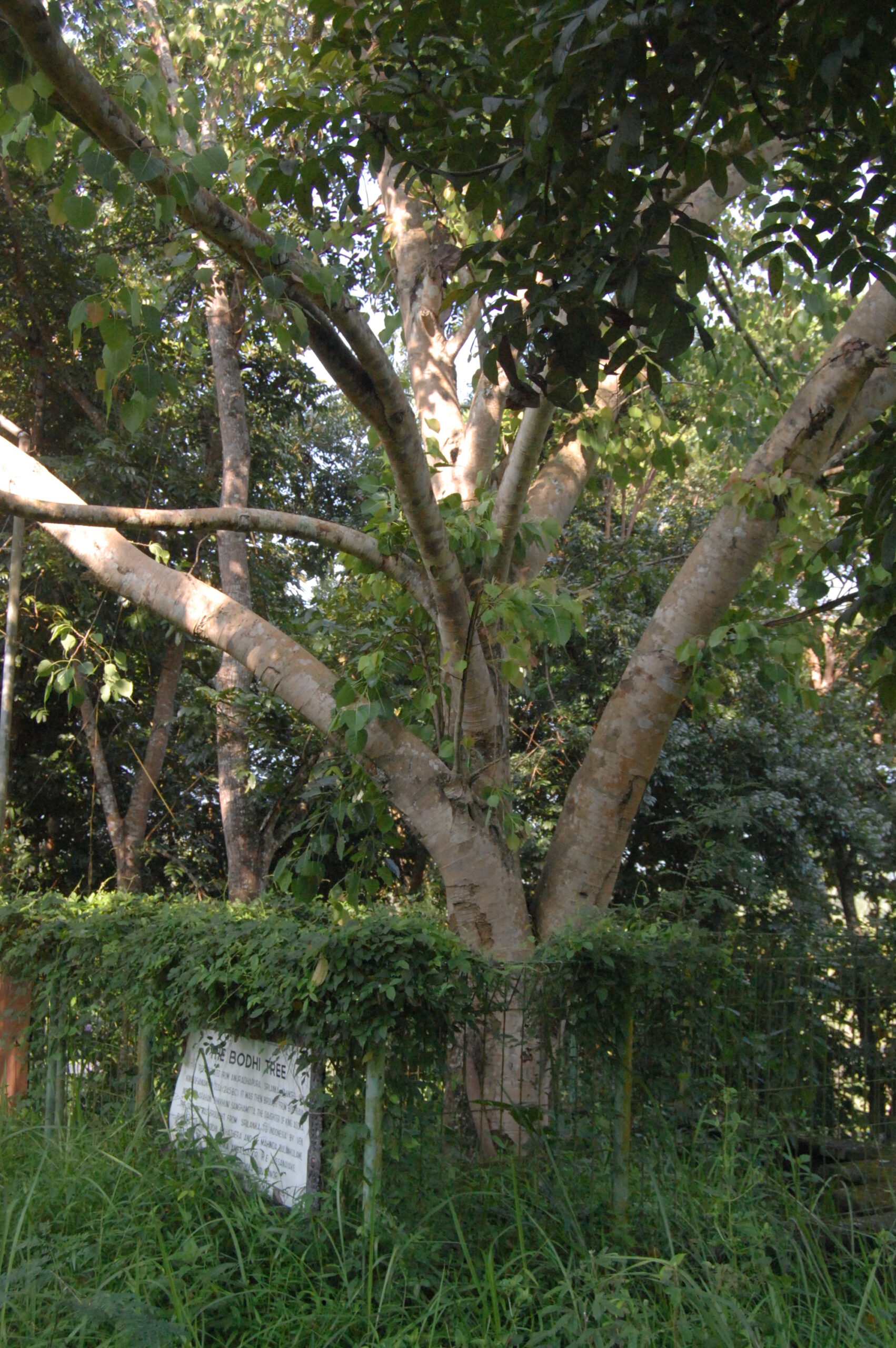 Հայաստանի Սահմանադրությունը և եկեղեցու ներքին գործերին պետության միջամտությունը