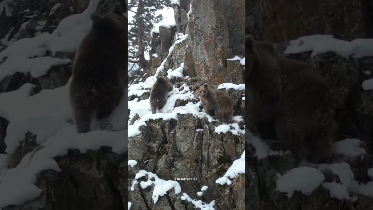 Վայոց ձորում բեռնատար ավտոմեքենա է բռնկվել հրդեհով