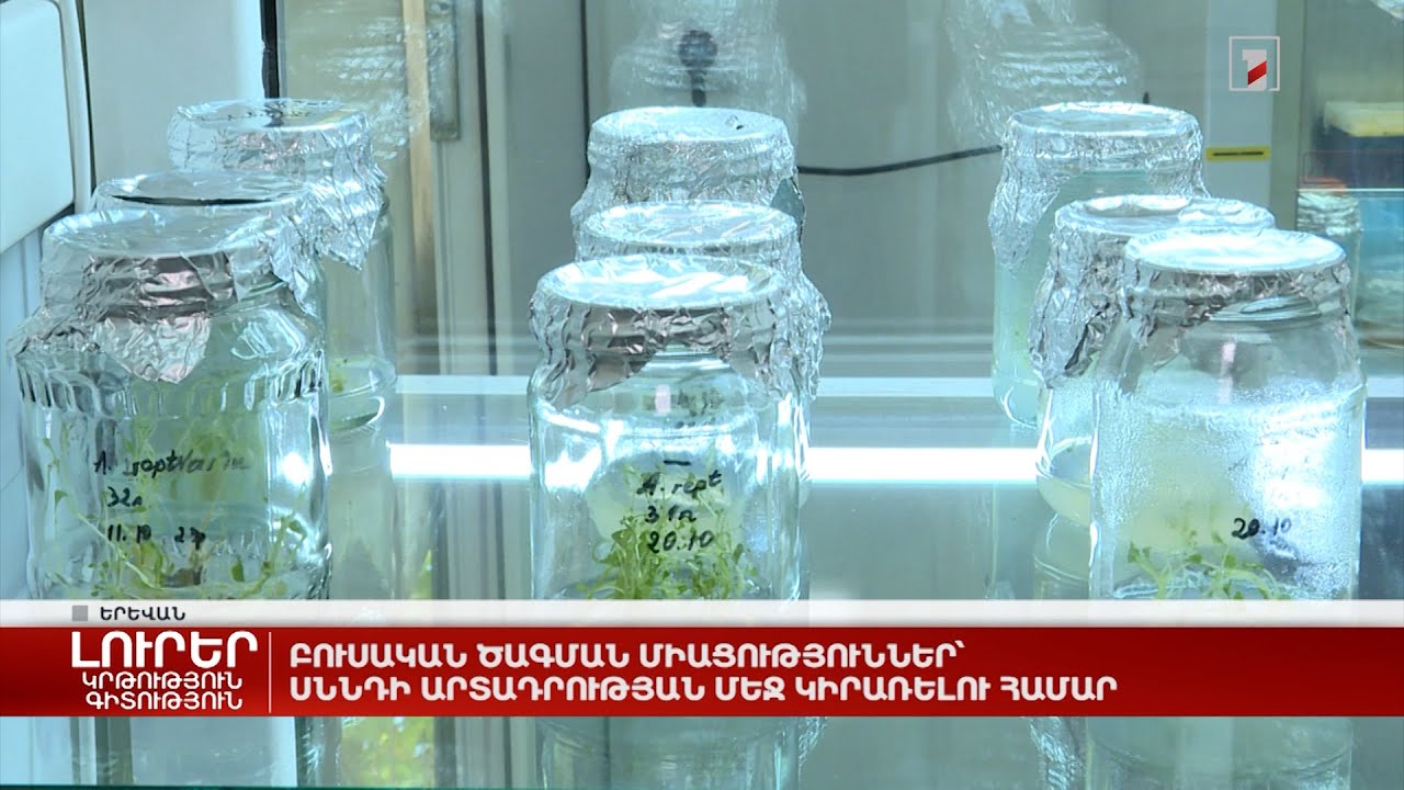 Բյուրեղավանում զանգվածային սննդային թունավորումների դեպքեր