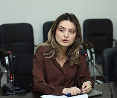 Ոչ անհայտ Դանիել Իոաննիսյանի առաջարկը և հայկական ընտրական իրականությունը